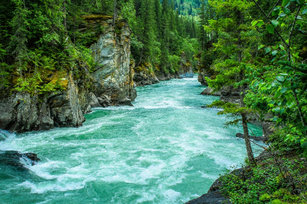 River flowing through a forested canyon, representing steady long-horizon capital flow