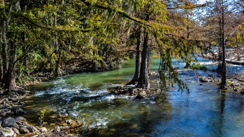 River flowing through old-growth landscape
